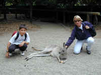 Ian & Pam kangaroo.JPG (103575 bytes)