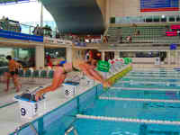 Pam dives Olympic Pool.JPG (100516 bytes)